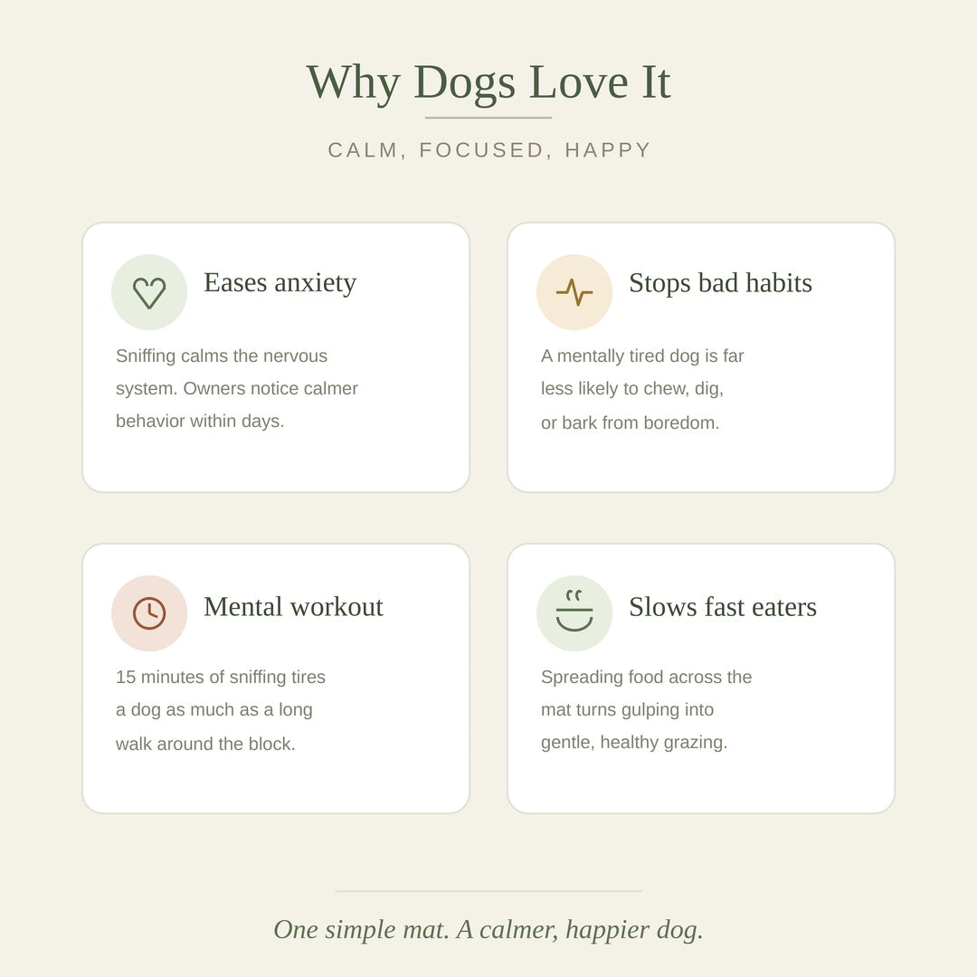 Benefits of snuffle mat for anxious dogs – Calm Snuffle